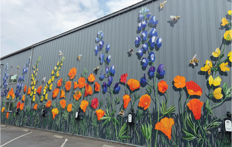 Santa Rosa Mural